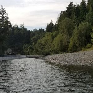 Meet your Posher, Ronnie